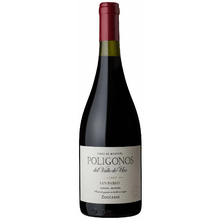 Poligonos San Pablo Malbec, 2019