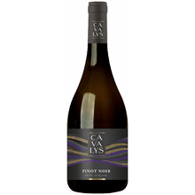 Cavalys Pinot Noir
