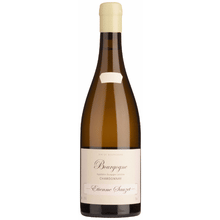 Sauzet Bourgogne Blanc, 2022