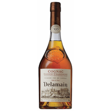 Delamain Cognac Pale & Dry XO