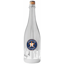 Houston Astros Skyline Series Silver Bubbly