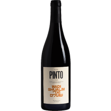 Pinto Wadi Shualim Red