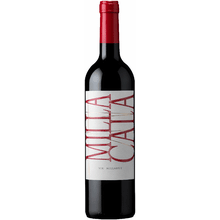 Vik Milla Cala Cachapoal Valley