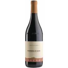 Elvio Cogno Barbera d'Alba Bricco dei Merli DOC, 2016