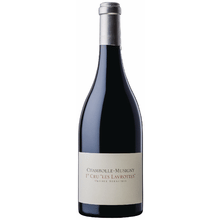 Olivier Bernstein Chambolle-Musigny Les Lavrottes