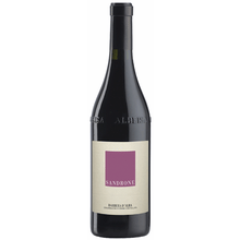 Sandrone Barbera D'alba