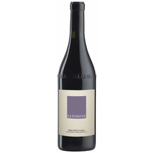 Sandrone Dolcetto d'Alba