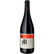 Amichai by Siloh Micah Cabernet Sauvignon