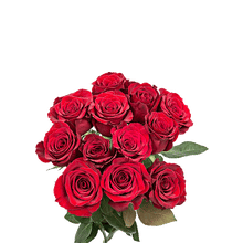 Fresh Dozen Red Roses
