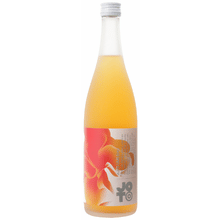 新品 hokuto Plums 2LP Joto Umeshu Plum Wine | Total Wine & More