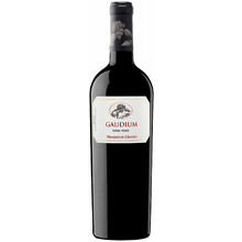 Marques de Caceres Gaudium