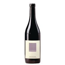 Sandrone Dolcetto d'Alba