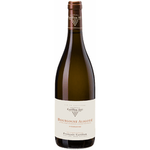 Francois Carillon Bourgogne Aligote