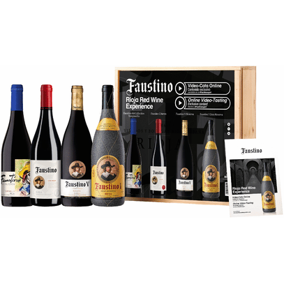 Faustino Rioja Red Wine Experience