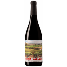 Finca Vallejo Ribera del Duero Crianza