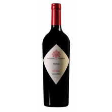 Achaval Ferrer Malbec Mendoza