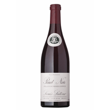 Latour Bourgogne Rouge