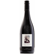 Two Hands Shiraz Gnarly Dudes