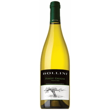 Bollini Pinot Grigio
