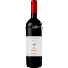 Pisano Tannat Rio de Los Pajaros