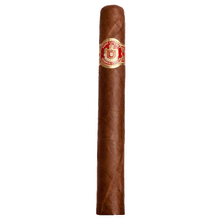 Saint Luis Rey Toro
