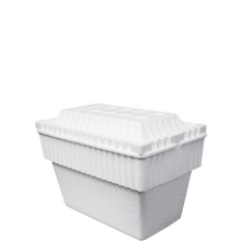 Styrofoam Cooler - Large
