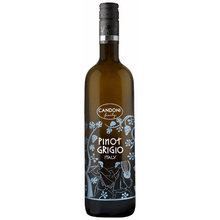 Candoni Pinot Grigio