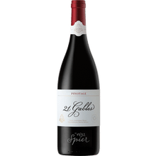 Spier 21 Gables Pinotage, 2017