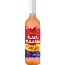 Playa Vallarta Spicy Margarita