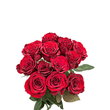 Fresh Dozen Red Roses