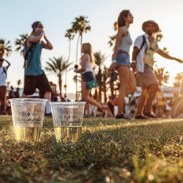 2 Glasses of Cupcake White Wine in the grass at Coachella