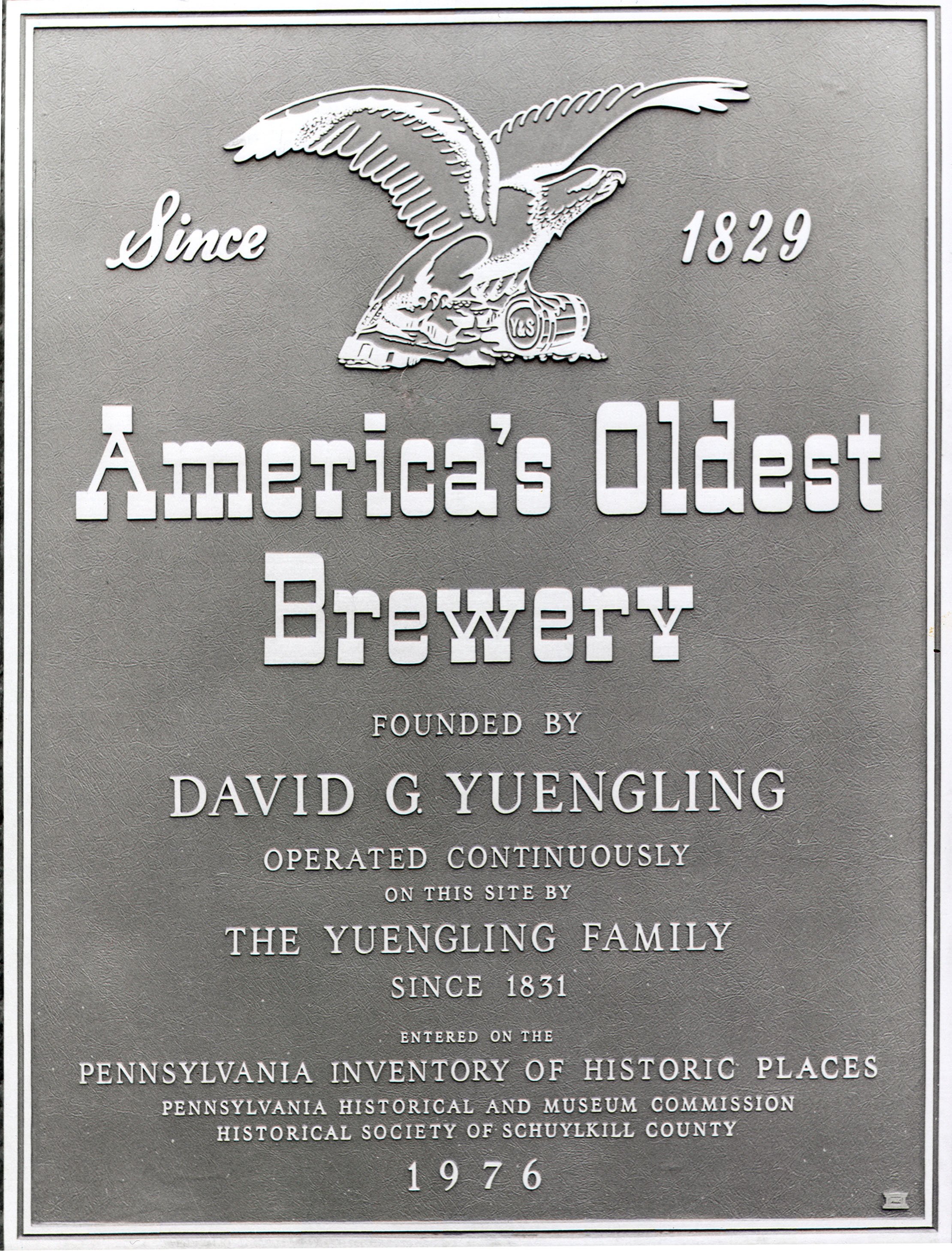 Yuengling Image