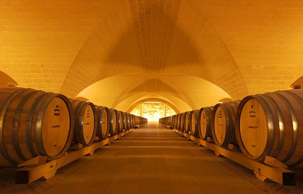 Barrels at Tormaresca Winery