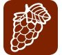 Total Wine App