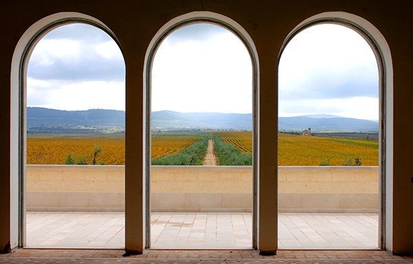 Arches at Tormaresca Winery