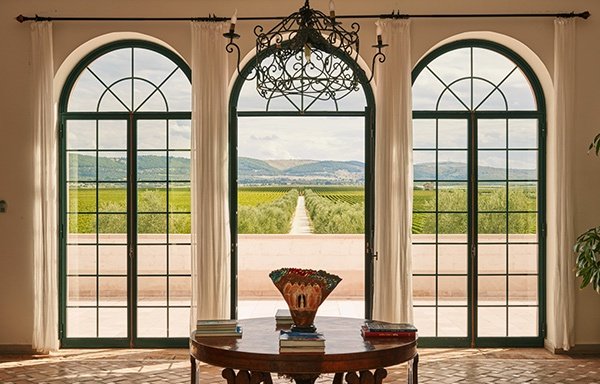 Bocca di Lupo windoww overlooking Tormaresca vineyard