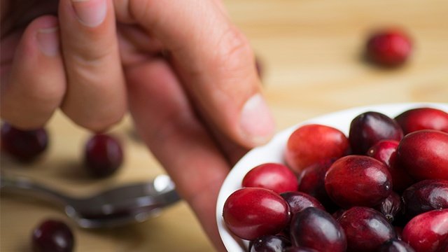 Hand holding bowl of cranberries, wooden table