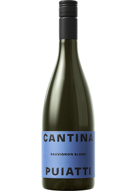 Bucci Bucci Verdicchio dei Castelli di Jesi Classico