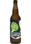 Elysian Space Dust IPA