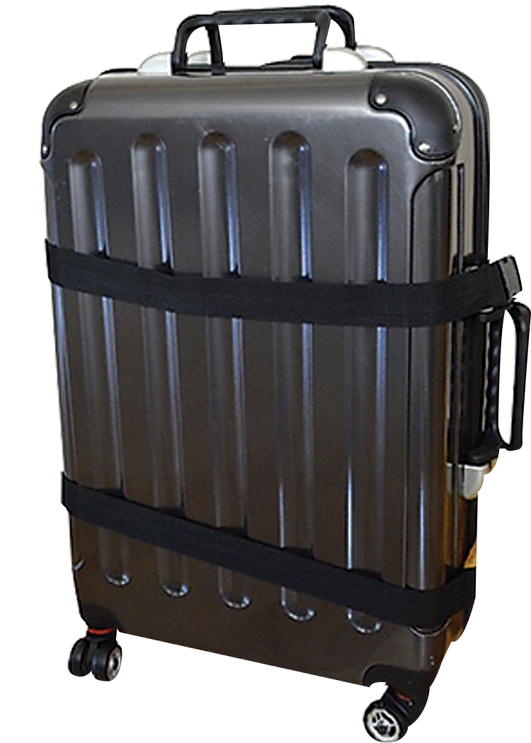 VinGardeValise Wine Carrier Suitcase Total Wine & More