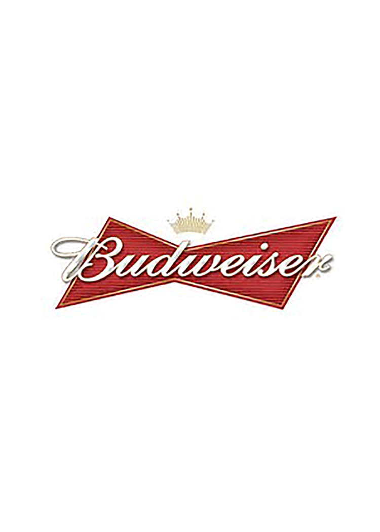 Budweiser Keg Total Wine & More