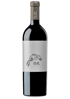 Nino Negri 5 Stelle Sfursat | Total Wine & More