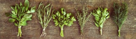 Herbal & Spice Cocktails