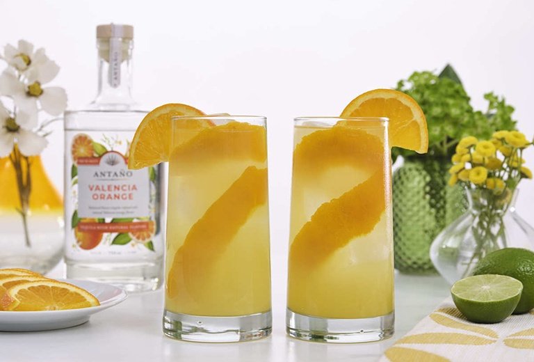 Skinny Tequila Orange Crush Cocktail Recipe | Total Wine & More