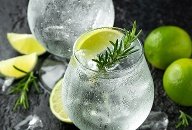 Elevated Gin & Tonic