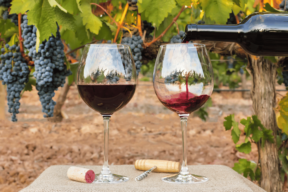 cabernet glasses