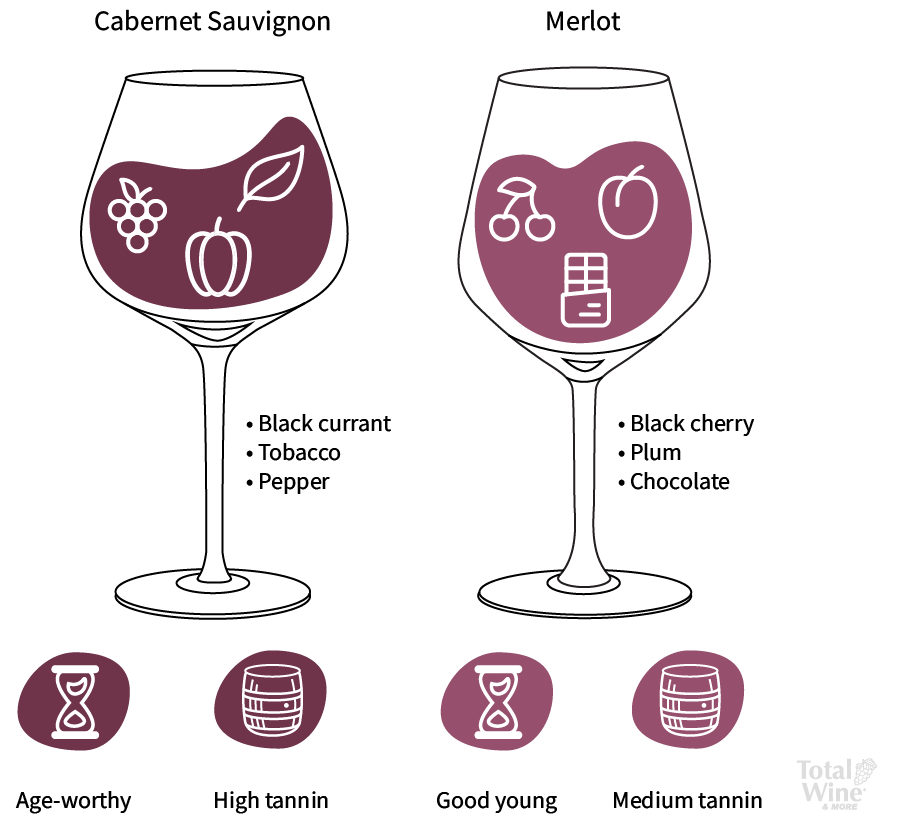 Cabernet Sauvignon and Merlot flavor profiles