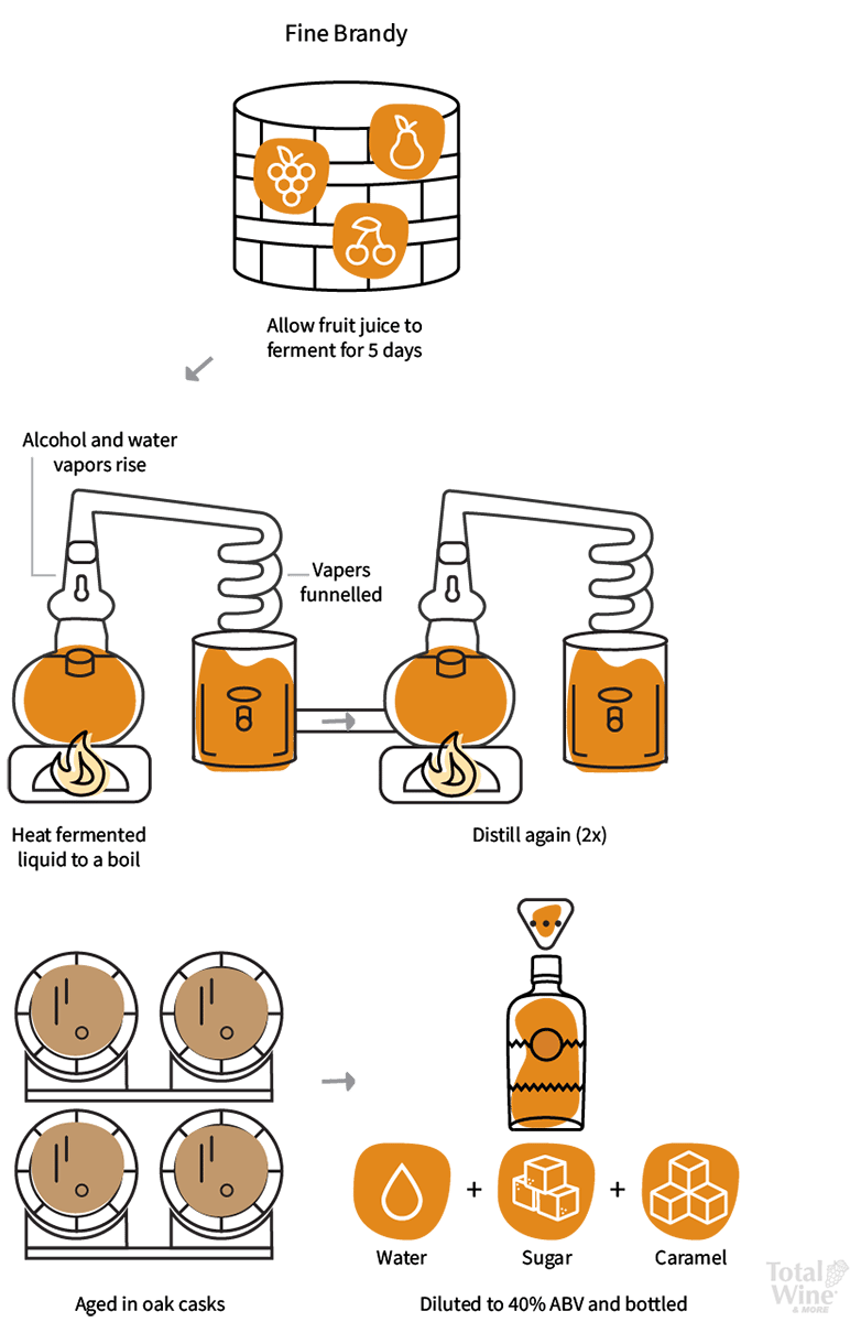 What is Brandy? Your Guide to Brandy & Cognac Total Wine & More