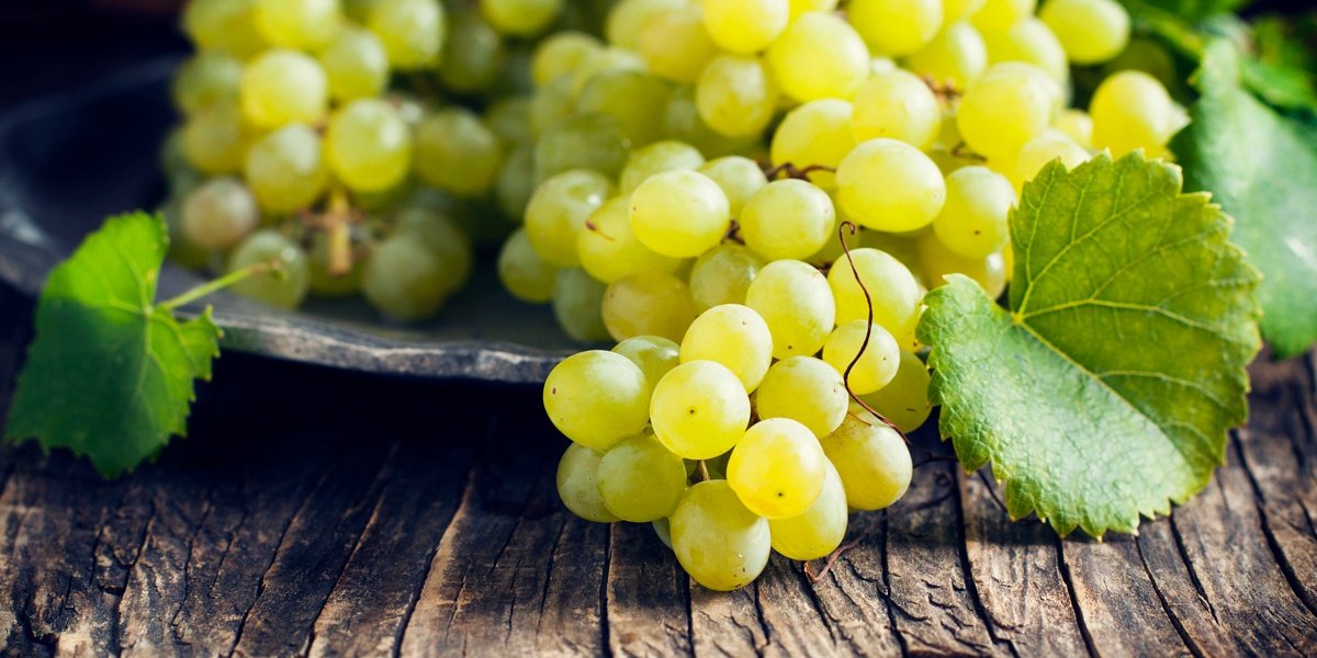 Sauvignon Blanc Wine Guide | Total Wine & More
