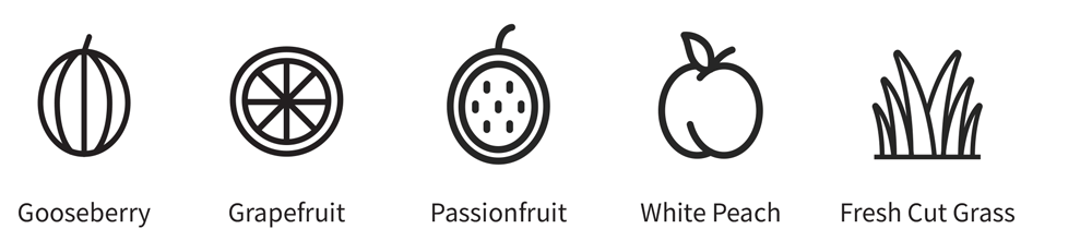 Icons of the Sauvignon Blanc wine style flavor profile: gooseberry, grapefruit, passionfruit, white peach, fresh cut grass